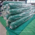 Golder supplier made construction building scaffolding mesh for USA market